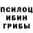 Псилоцибиновые грибы ЛСД Darla Iove