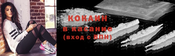 прущие грибы Заволжье