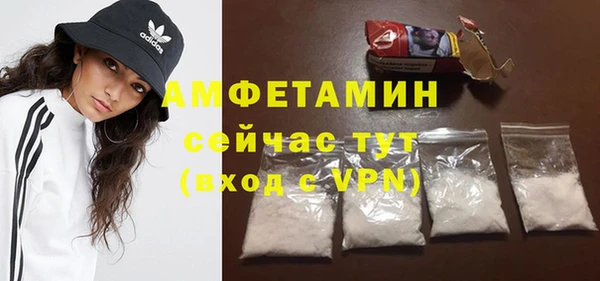 прущие грибы Заволжье