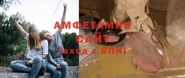 прущие грибы Заволжье