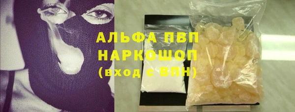 прущие грибы Заволжье