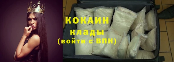 прущие грибы Заволжье