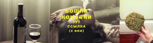 прущие грибы Заволжье