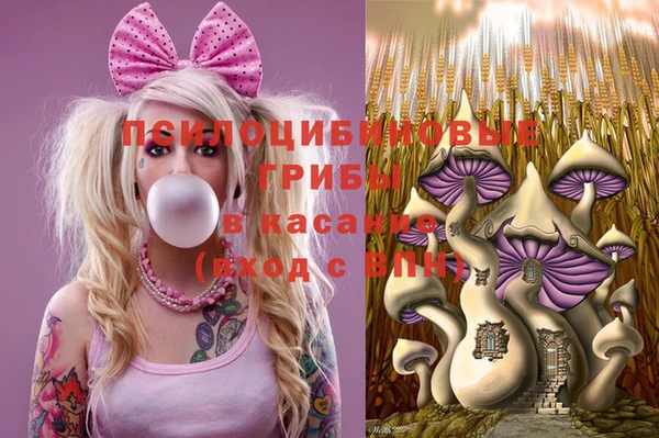 экстази Заводоуковск