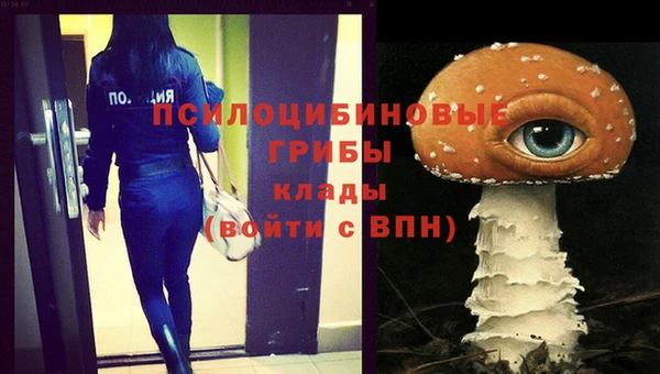 экстази Заводоуковск
