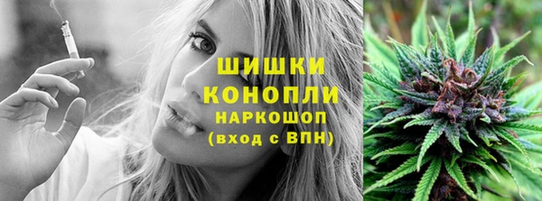 прущие грибы Заволжье