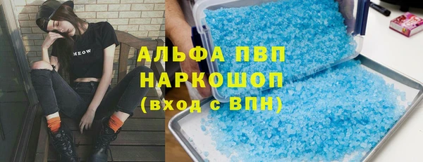 прущие грибы Заволжье