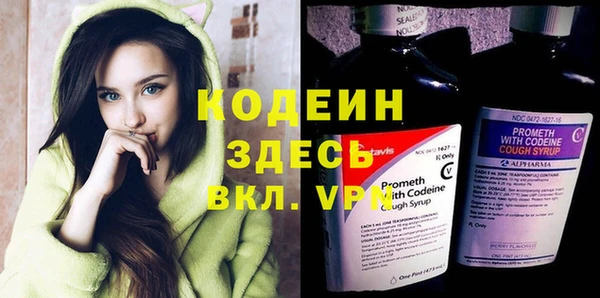 прущие грибы Заволжье