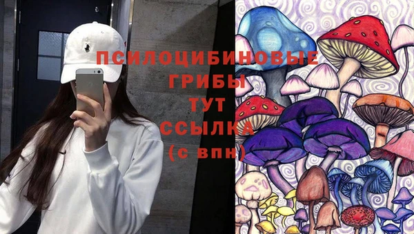 мдма Заволжск