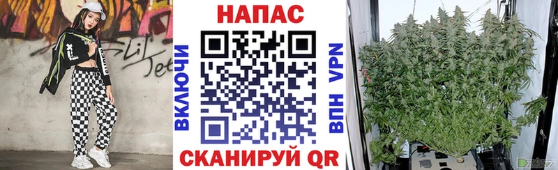 сайты даркнета Telegram  Чайковский  Бошки Шишки OG Kush  хочу наркоту 